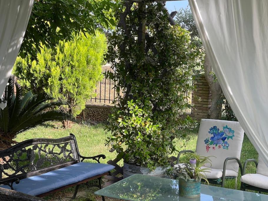 Mama'S Sunshine Garden Villa Agios Ilias  Exterior photo
