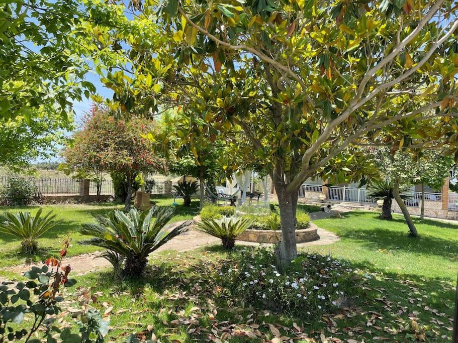 Mama'S Sunshine Garden Villa Agios Ilias  Exterior photo