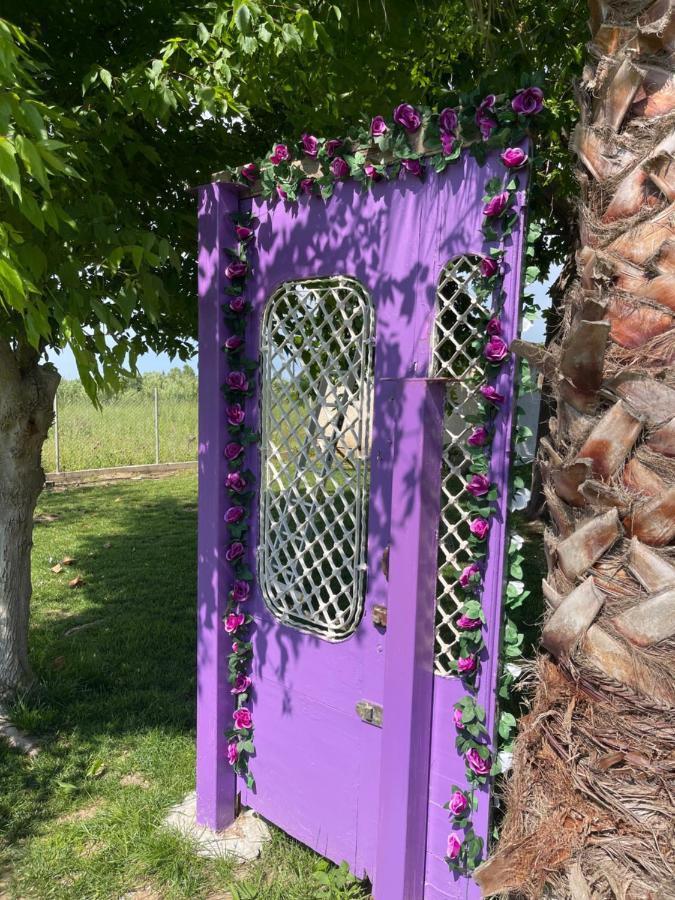 Mama'S Sunshine Garden Villa Agios Ilias  Exterior photo